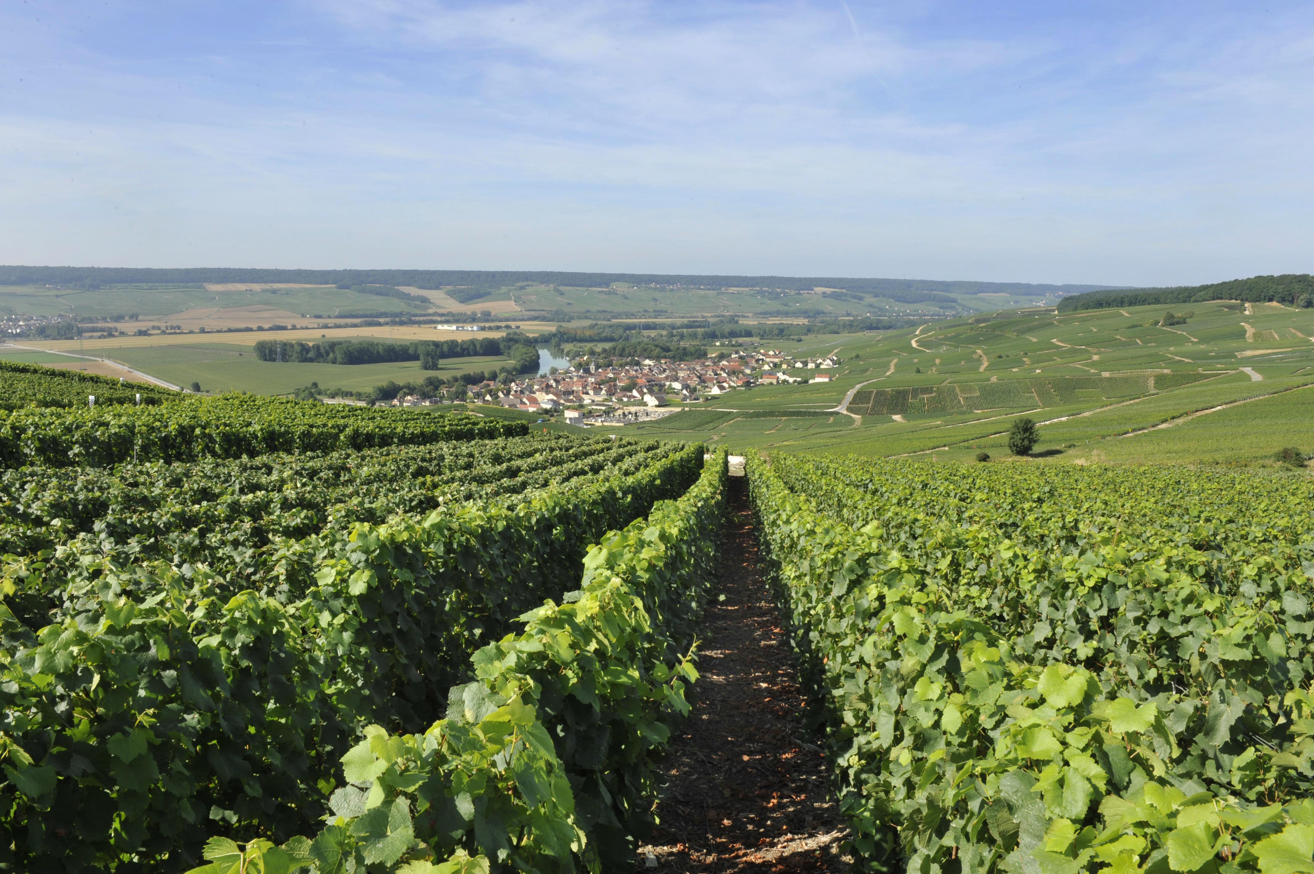 Vallée de la Marne le cœur historique du Champagne Unesco